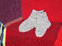 2013-02-24, Panzer (8)
